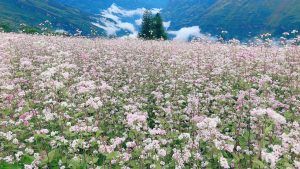 Du lịch Hoành Bồ Quảng Ninh có gì đặc sắc