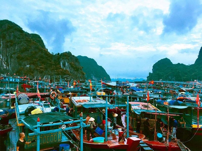 Chợ hải sản Hạ Long