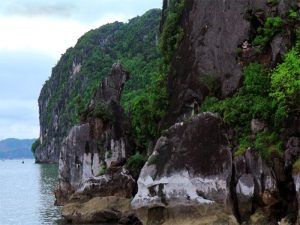 Hòn Chó Đá - thăm vịnh Hạ Long tuyến 1