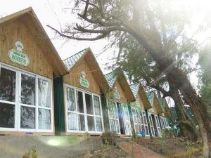 Hồng Vàn Homestay Cô Tô