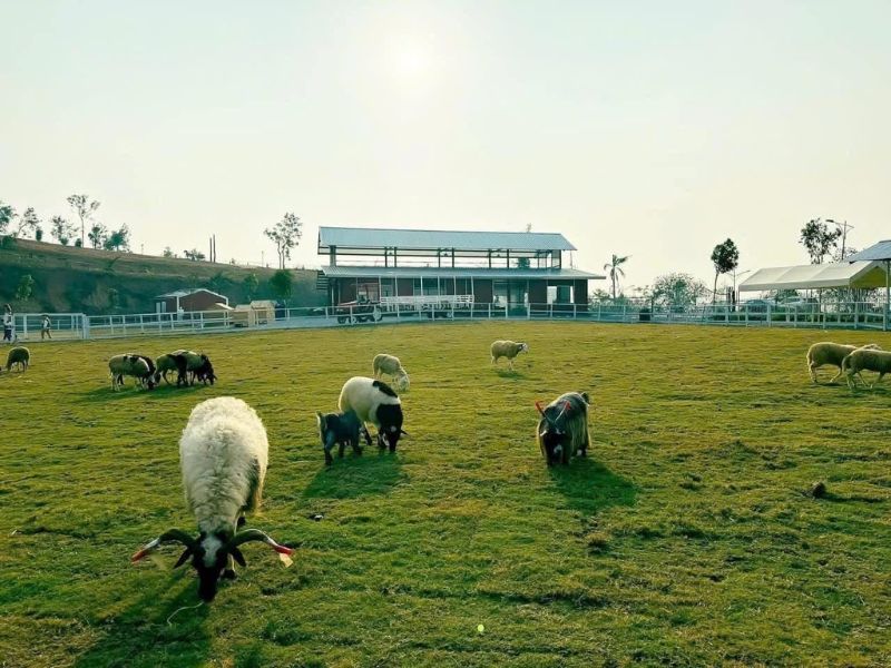 Trải nghiệm thú vị tại nơi được ví như Đà Lạt