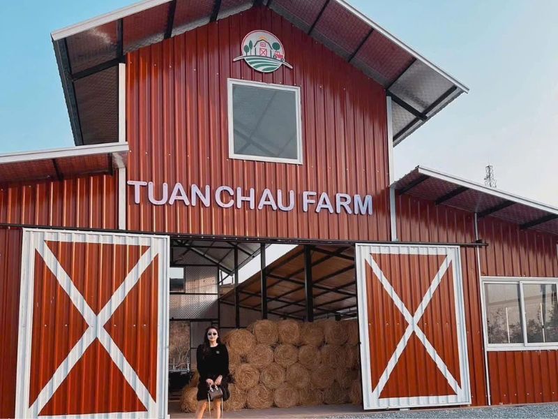 Tuần Châu Farm - Điểm checkin mới 